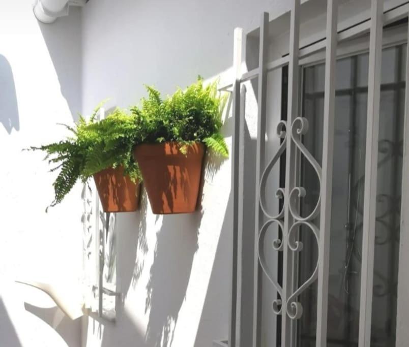 La Marieta, Casita Acogedora Y Centrica Villa Castilleja de la Cuesta Bagian luar foto